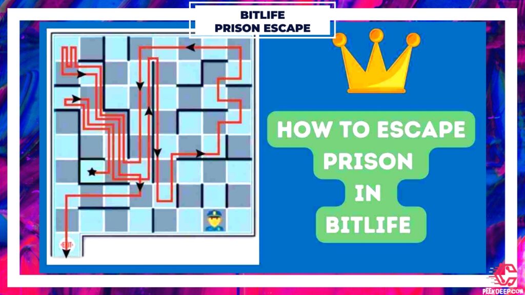 BitLife How To Escape Every Prison [May 2022] (All Layouts)