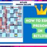 BitLife How To Escape Every Prison [May 2022] (All Layouts)
